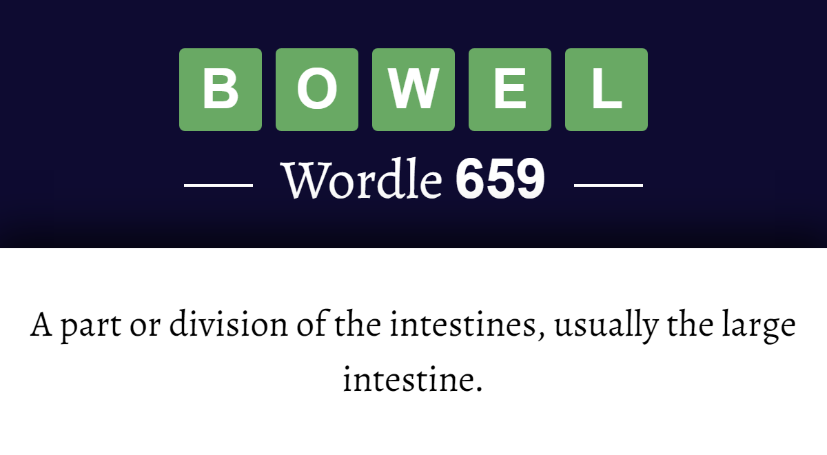 3 letter word with bowel